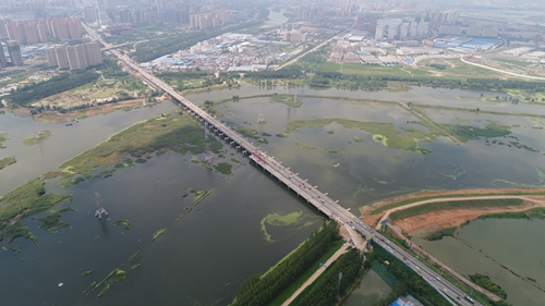 P020220629333503294457